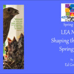 LEA News Shaping the Future Spring 2016